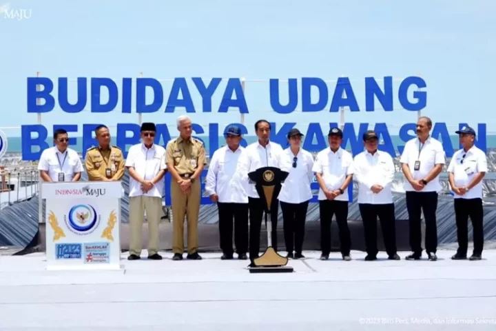 Resmikan Tambak di Kebumen, Jokowi: Ini Jadi Contoh Bagi Budi Daya Udang Vaname