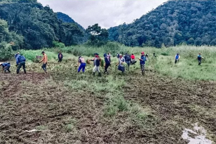 Hancur Parah ! Begini Kronologi Perusakan Tempat Wisata Ranca Upas hingga Respon Perhutani