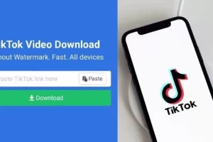 Download Video TikTok Tanpa Watermark Mudah Pakai SnapTik, Begini Caranya