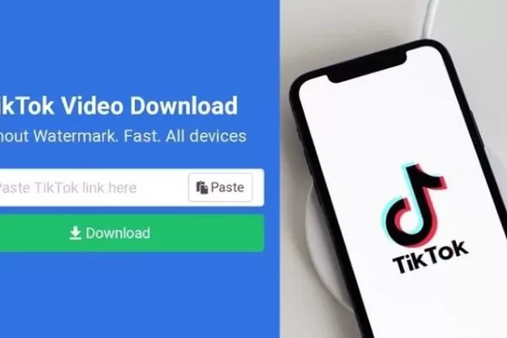 Download Video TikTok Tanpa Watermark Mudah Pakai SnapTik, Begini Caranya