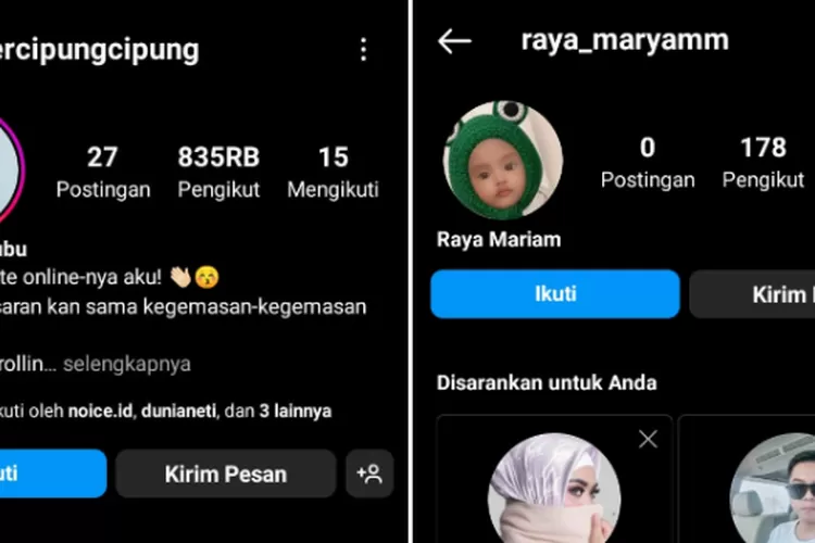 Netter bandingkan IG anak Aisyahrani yang sepi followers dengan Rayyanza yang dapat 800k dalam 5 hari