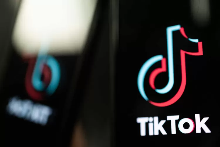 SnapTik, Aplikasi Download Video TikTok Tanpa Watermark yang Simpel Banget, Gratis!