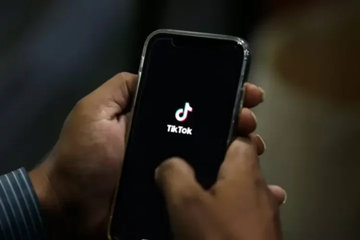 Tips Download Video TikTok Tanpa Watermark Anti Ribet dengan SnapTik