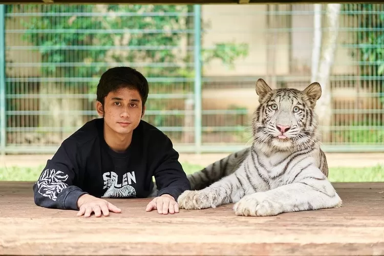 Suka binatang dari kecil, Alshad Ahmad beberkan tiga titik kelemahan harimau yang cakarannya bikin otot biru