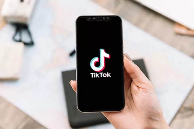 Cara Gratis Download Video TikTok Tanpa Watermark, Pakai SnapTik