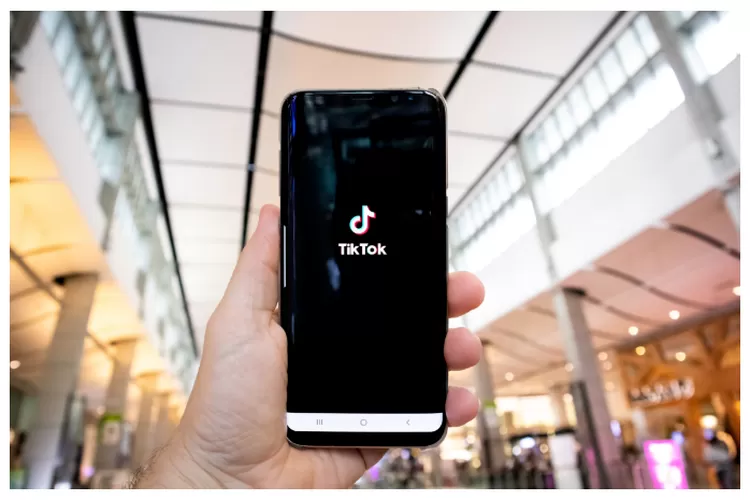 Download Video Tiktok  Tanpa Watermark Lebih Cepat dan Mudah dengan Snaptik Yandex