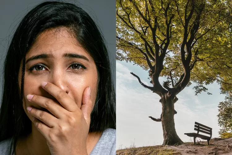 Mengenal dendrophobia, ketakutan ekstrem terhadap pohon yang salah satu alasannya karena peristiwa traumatis