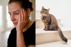 Takut main sama meong? Inilah ailurophobia, ketakutan ekstrem pada segala hal yang berhubungan dengan kucing