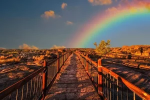 Takut lihat pelangi? Inilah chromophobia, salah satu pemicunya karena pengalaman traumatis terkait warna