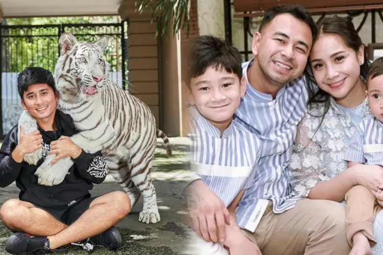 Raffi Ahmad silaturahmi ke rumah Alshad Ahmad di Bandung, Rafathar diajak masuk ke kandang harimau