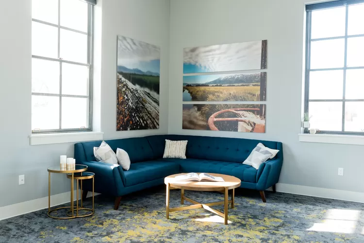 4 Tips merawat sofa warna cerah agar tidak gampang kotor