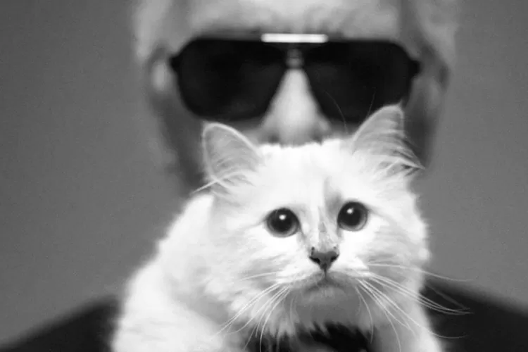 Met Gala mengenang Karl Lagerfeld, selebritis menggunakan kostum seperti kucing, siapa sajakah mereka?