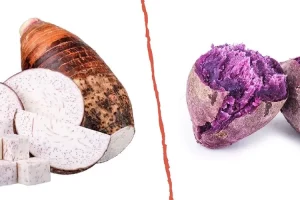 Jangan keliru! Ube dan taro ternyata dua umbi-umbian yang berbeda, begini penjelasannya