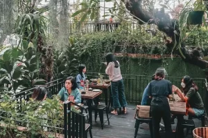 Menikmati hidangan Ramen dengan view pepohonan di Jaksel, memangnya ada? Buat yang penasaran, jangan di skip