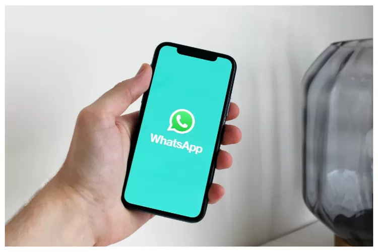 Simak Trik Sadap WA Pasangan atau Anak Lewat WhatsApp.web Tanpa Aplikasi Cuma dengan Scan Barcode!