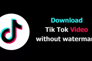 Cara Mudah Download Video TikTok Tanpa Watermark Pake SnapTik, Dijamin Aman