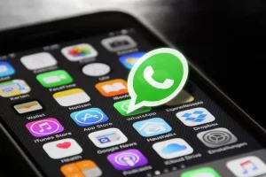 Daftar Negara Pengguna Aplikasi Whatsapp Terbesar di Dunia, Indonesia Peringkat Berapa?