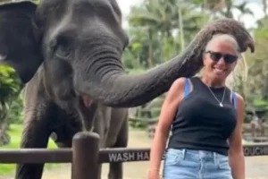 Ngeri! Turis Amerika Diterkam Gajah saat Berfoto di Taman Penyelamatan Gajah Ubud