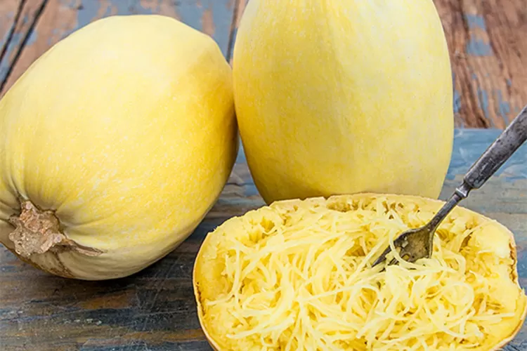 Bosen makan pasta yang gitu-gitu doang? Simak deretan manfaat dari spaghetti squash, bisa jadi alternatif diet