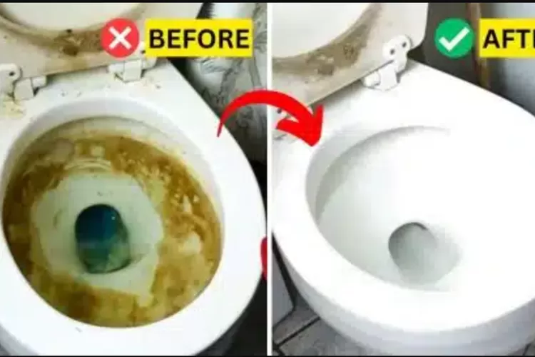 Tips bersihkan toilet,  termasuk kerak kuning membandel di kloset cuma pakai batu apung