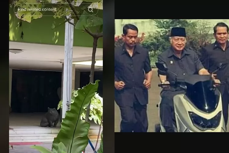 TikToker ini review rumah Soeharto di Jalan Cendana, netizen: Pernah sengaja sepedaan lewat depannya...