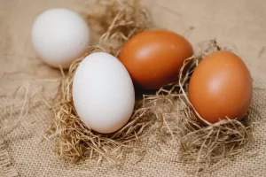 Telur ayam coklat vs telur ayam putih, apakah telur ayam coklat lebih menyehatkan daripada telur ayam putih?