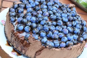 Hampir mirip dengan blueberry, simak 5 deretan manfaat dari bilberries yang bikin kadar gula darah turun