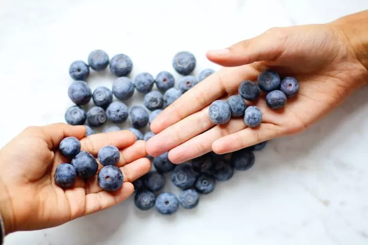 Dikenal sebagai berry sejuta umat, simak 6 deretan manfaat kesehatan blueberry yang punya efek antidiabetes