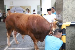 Menteri Kelautan dan Perikanan Sakti Wahyu Trenggono melaksanakan Shalat Ied Idul Adha 1444 Hijriah bersama para pegawai dan masyarakat di Masjid Al Bahri, Kantor Kementerian Kelautan dan Perikanan di Jakarta, Kamis (29/6/2023). Tahun ini Menteri Trenggono berkurban sapi jenis simental seberat 1,2 ton yang didatangkan dari Wonogiri, Jawa Tengah.