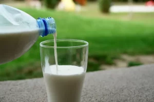 Cek fakta: Apakah susu kambing yang belum dipasteurisasi bisa dikonsumsi serta bagaimana dampaknya ke tubuh?