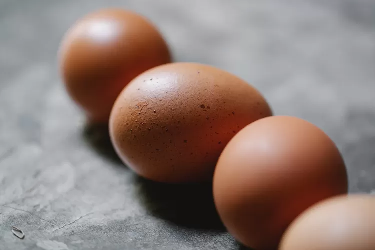 Perhatikan! 4 Makanan dengan nilai protein tinggi, yang lagi diet wajib tahu!