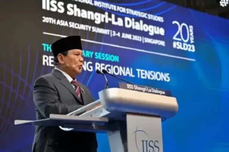 DPR Tegur Prabowo soal Resolusi Damai Rusia-Ukraina: Hati-Hati dalam Beropini