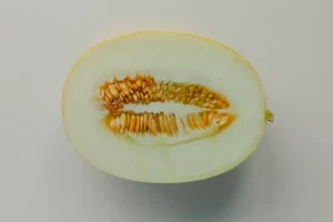 Suka salad buah? Simak 8 manfaat melon bagi kesehatan