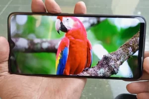 Review Redmi 9 Second di 2023, Harga 1 Juta Pas, Masih Jadi Jawara?