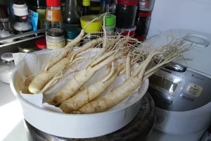 Pecinta Korea merapat, yuk simak 5 manfaat ginseng bagi kesehatan manusia