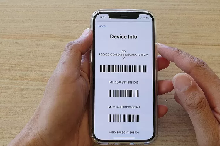 Mudah Banget! Inilah 8 Cara Menemukan Nomor IMEI di iPhone atau iPad