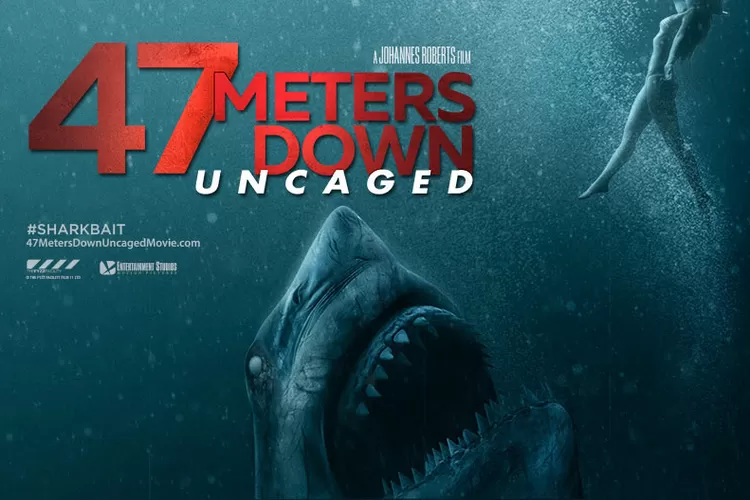 47 Meters Down, film horor soal hiu yang menghabiskan anggaran sebesar $5,3 juta dolar dengan laba segini