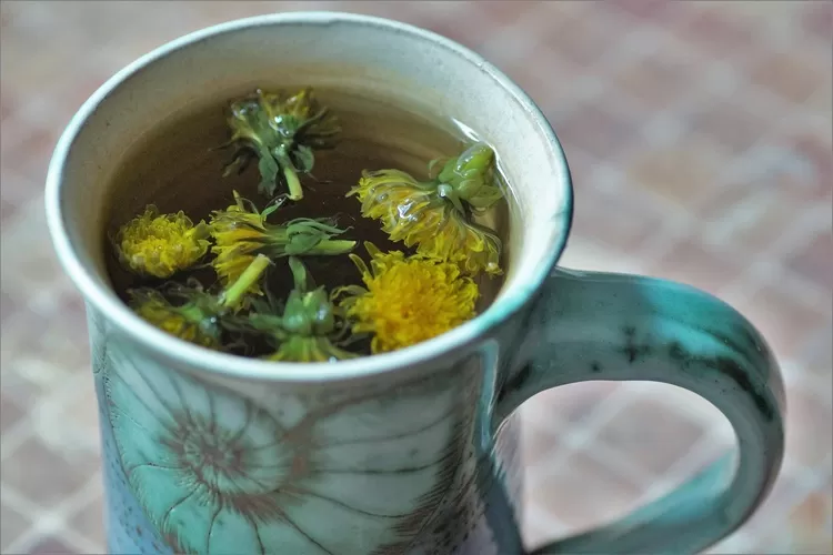 Mengulas minuman teh bunga dandelion, alternatif sehat dengan banyak manfaat