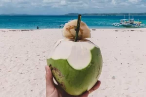 6 Manfaat air kelapa bagi kesehatan tubuh, nomor 5 belum banyak diketahui oleh orang-orang