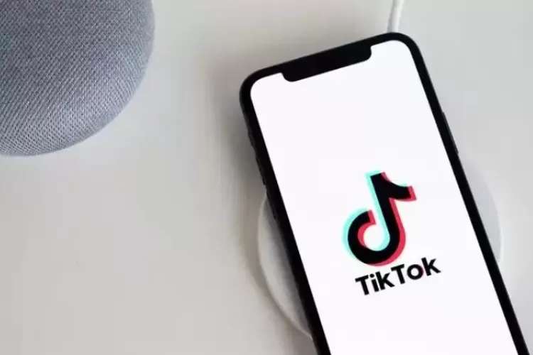 Panduan Lengkap Mengunduh Video TikTok dalam Hitungan Detik