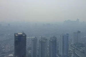 Polusi udara Jakarta memburuk, siapa saja yang berisiko tinggi terdampak masalah kesehatan serius?