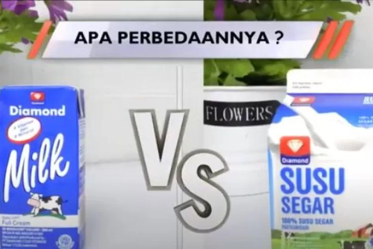 Terlihat sama, kenali perbedaan susu UHT dan fresh milk, mana yang lebih baik untuk dikonsumsi?