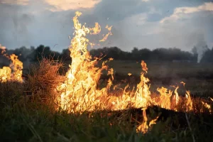 Kebakaran di Jalan Tol Palembang - Indralaya, Netizen: Testimoni Neraka di Dunia