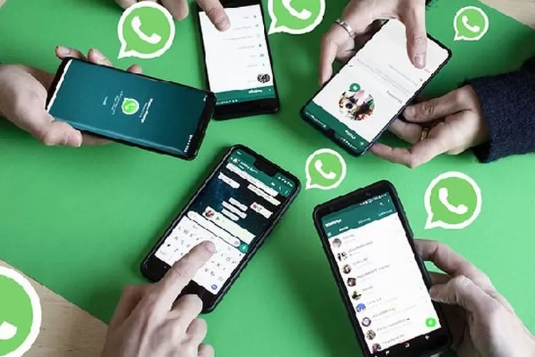 Cara Menghilangkan Status Online di WhatsApp