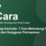 Infografis tujuh cara melindungi diri dari kabut asap